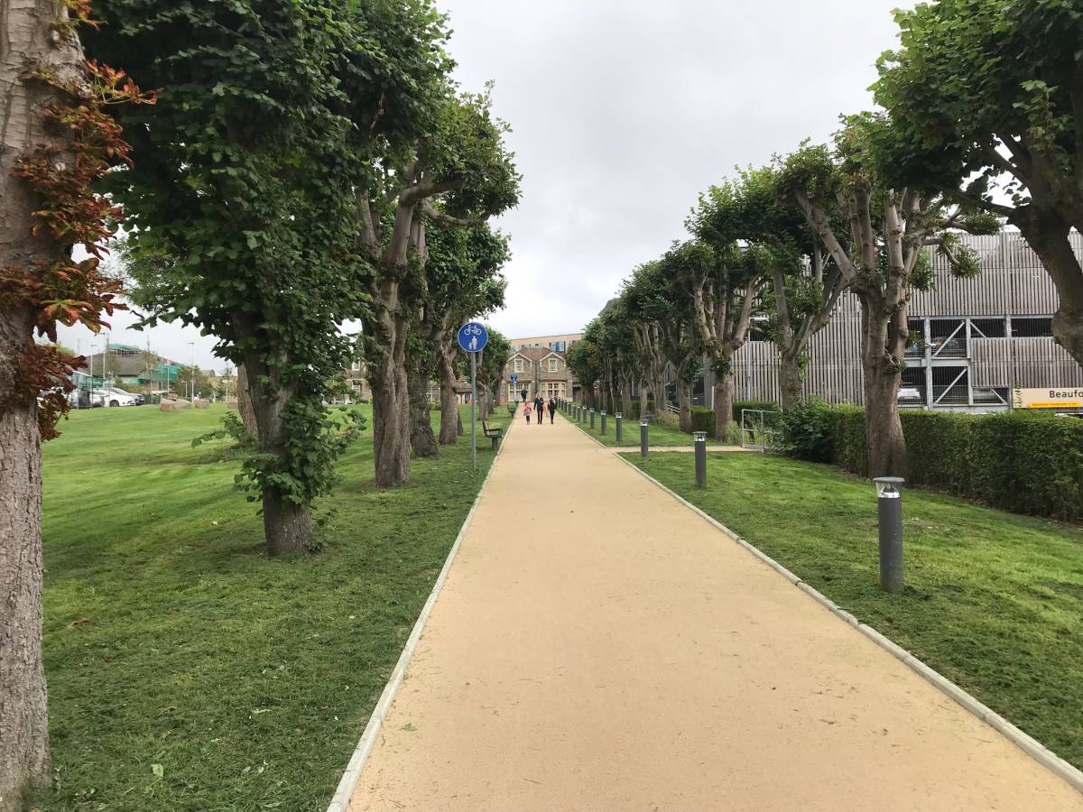 Commercial Landscaping